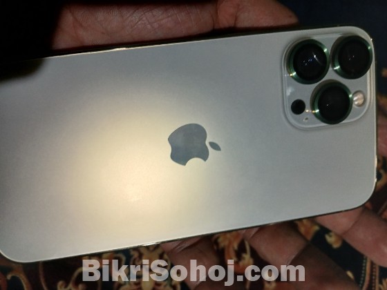 iPhone 13 pro max